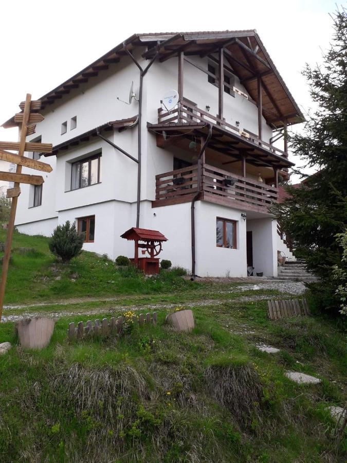 Casa De Vacanta Two Brothers Concept Paltinis Exterior photo