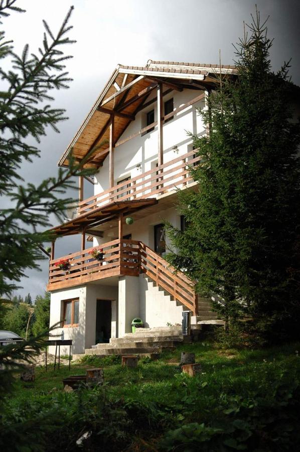 Casa De Vacanta Two Brothers Concept Paltinis Exterior photo